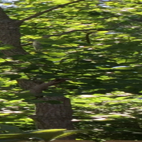 Meet your Posher, Genesis - Picture 1 of 1